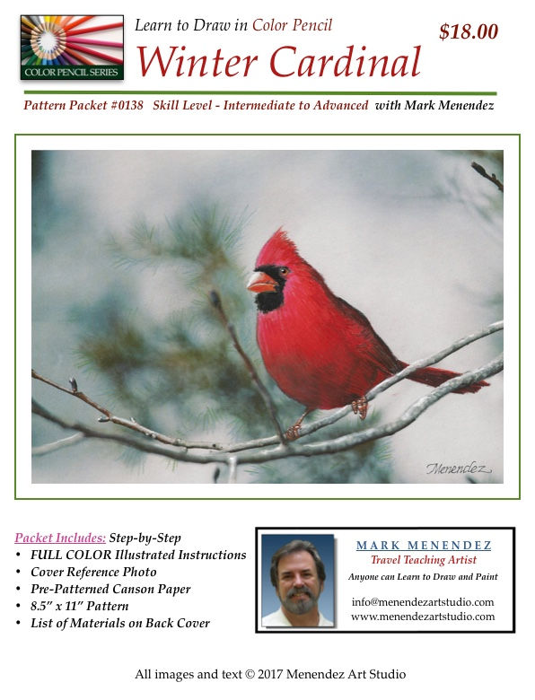 Winter Cardinal
