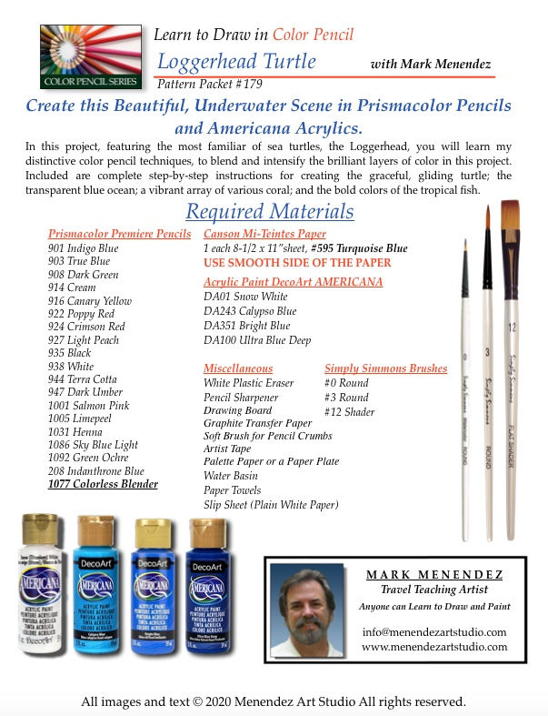 Thumbnail: DIGITAL CP Loggerhead Turtle