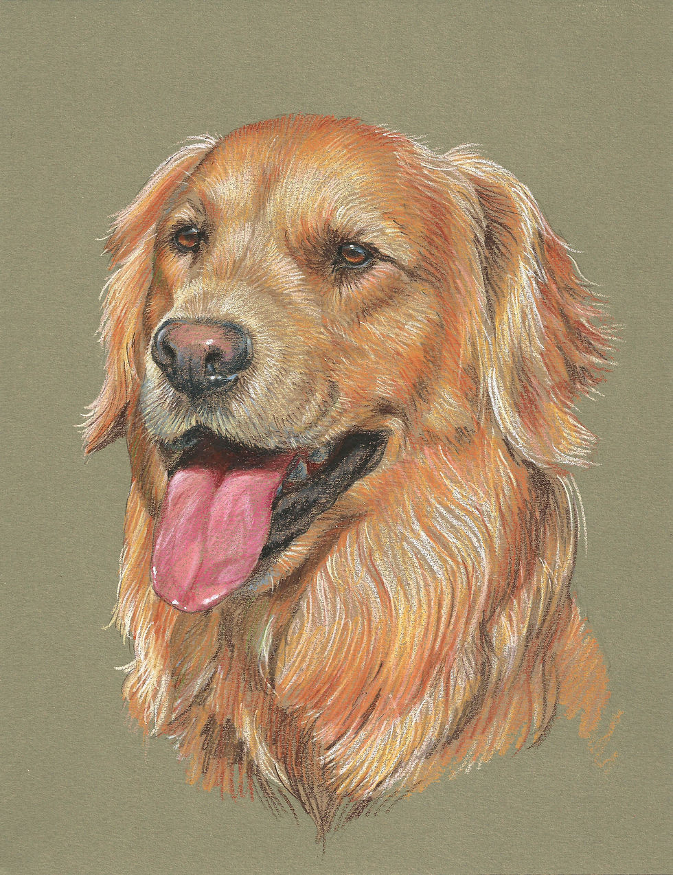 Golden Pet Portrait