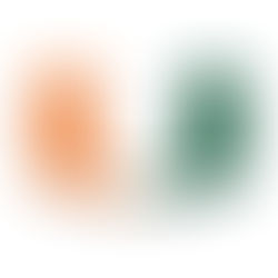 University of Miami Hurricanes Logo