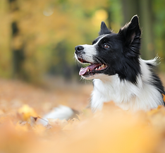 Sip by sip, my magic unfolds (3).png