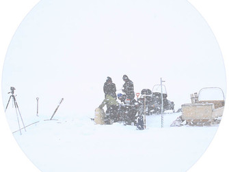 Ars Bioarctica Residency Summer 2017