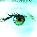 shutterstock_2459730705_EYE copyA_.jpg