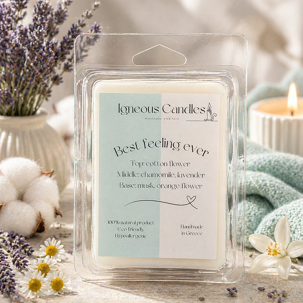 Μικρογραφία: Best Feeling Ever Wax Melts