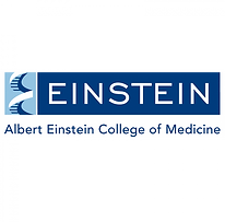 Einstein.png