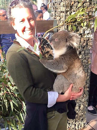 Lynnette Koala.jpg