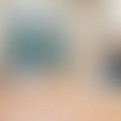 Глава государства принял министра просвещения Жулдыз Сулейменову