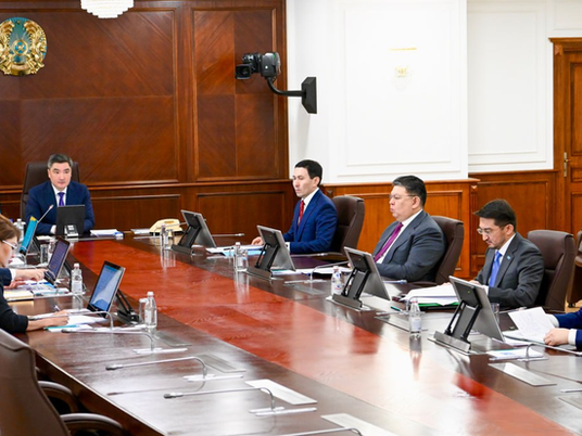 Саясат Нурбек выступил на заседании Правительства