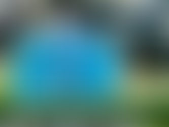 Двудипломные программы Kozybayev University и University of Arizona. Интервью с Амиром Агзамовым