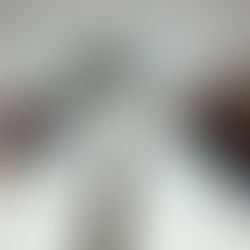 Из Португалии в Петропавловск: профессор Дентиньо будет преподавать студентам Kozybayev University