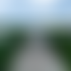 Д.Серикбаева