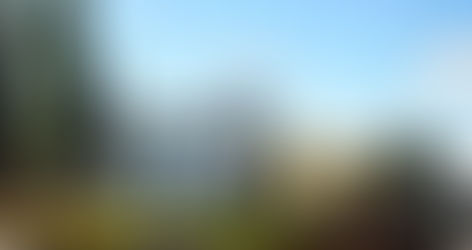 Быдгощ қаласының Экономика университетінің (WSG University) Шәкәрім университеті базасындағы филиалы 