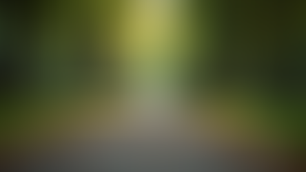 The Power of Mindfulness in Everyday Life