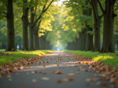 The Power of Mindfulness in Everyday Life