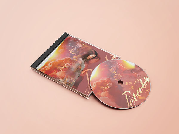 SP23_DMA002_ProductDesign_Band CD Design_VanessaRivera.jpg
