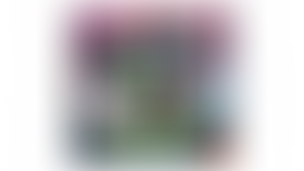 BORTIER OKOE Wicked Kingdom gets 8/10