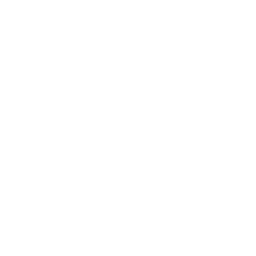 Website assets 2025.gif