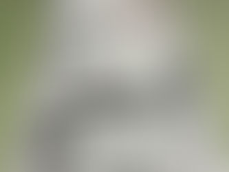 産経新聞11日間の連載!