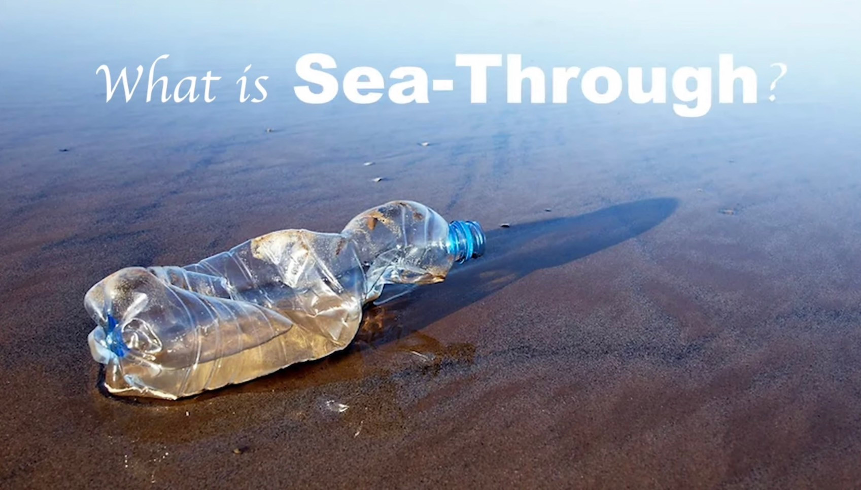 f48df8_4a2e4b8ba5c545da9eb595d