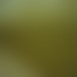 용평리조트 탈의실 락커룸 비밀번호키