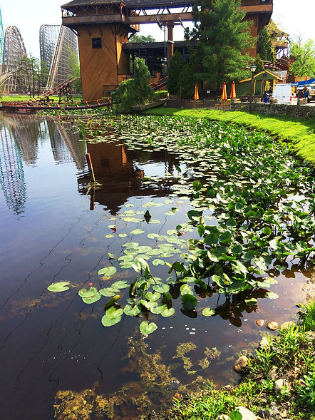 Six Flags Great Adventure Pond Management Before Picture