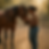 horseback riding benefits