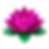 lotus-flower---full-bloom---all-petals-are-wide-op (1).png
