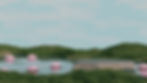 grass_lotus.jpg