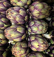 Artichokes, French