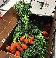 Carrots, Thumbalina Round