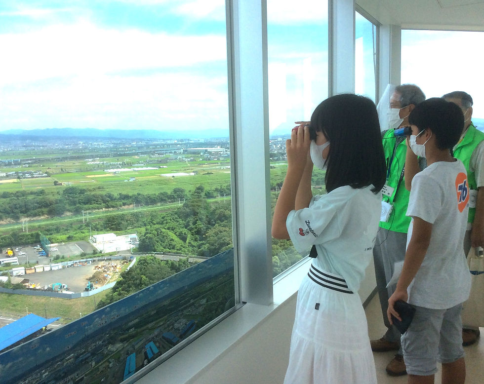 展望台からヨシ原を眺める