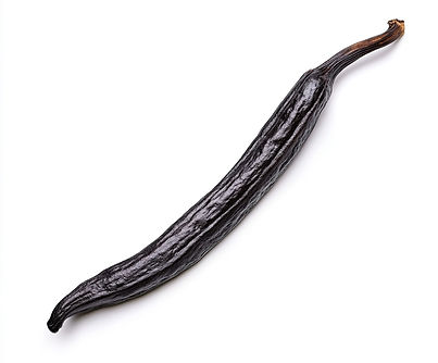 AdobeStock_981743963.jpeg