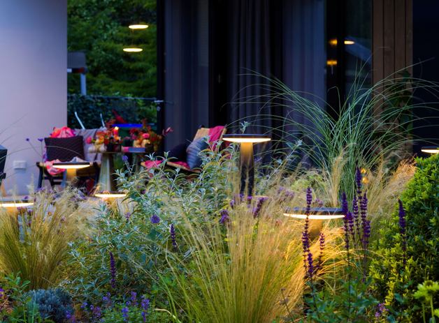 Dallas Lighting Company 