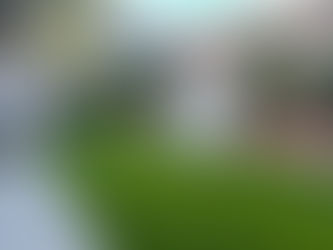 Pet-friendly synthetic grass backyard in Southlake Texas