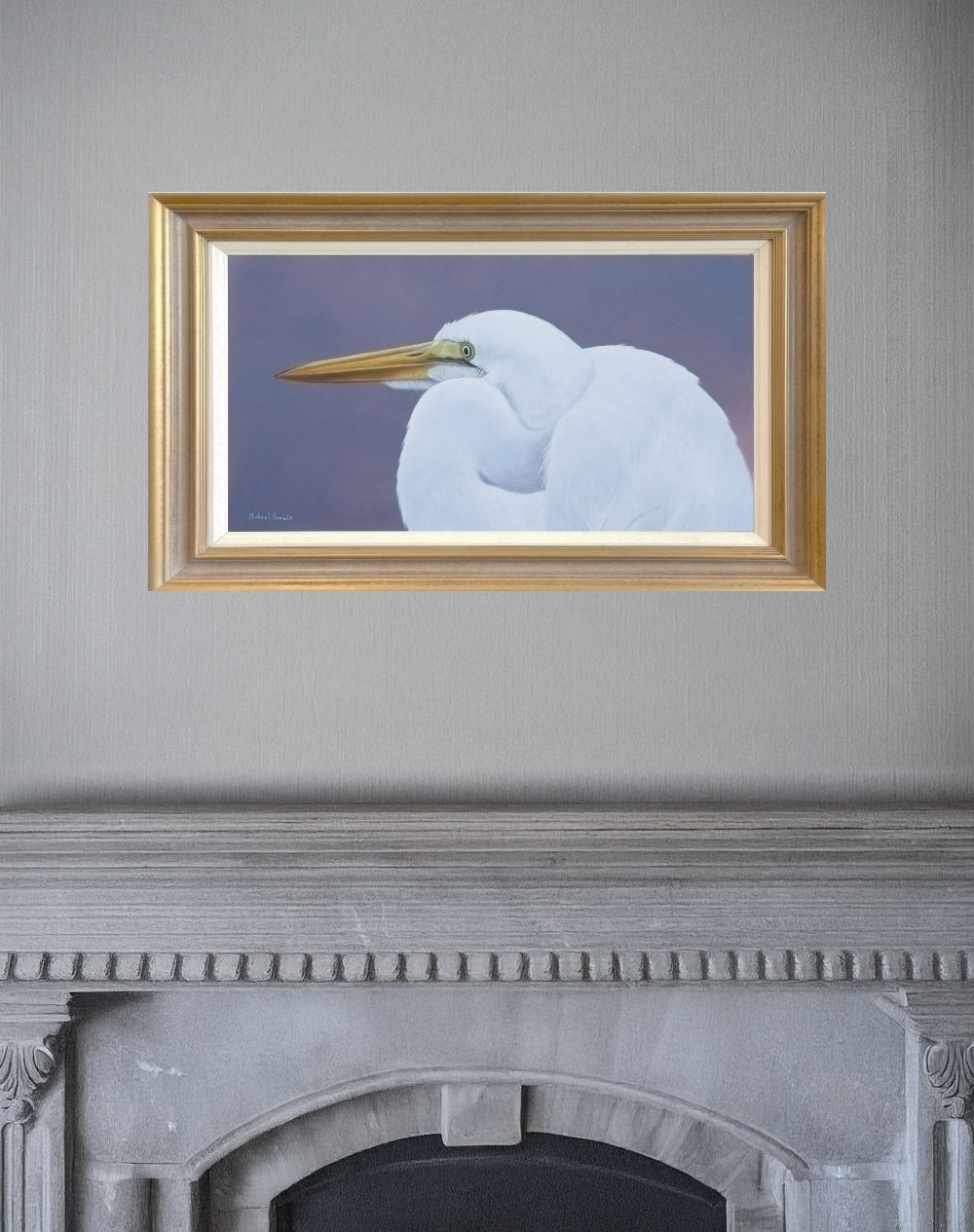 Elegance-Great white Egret