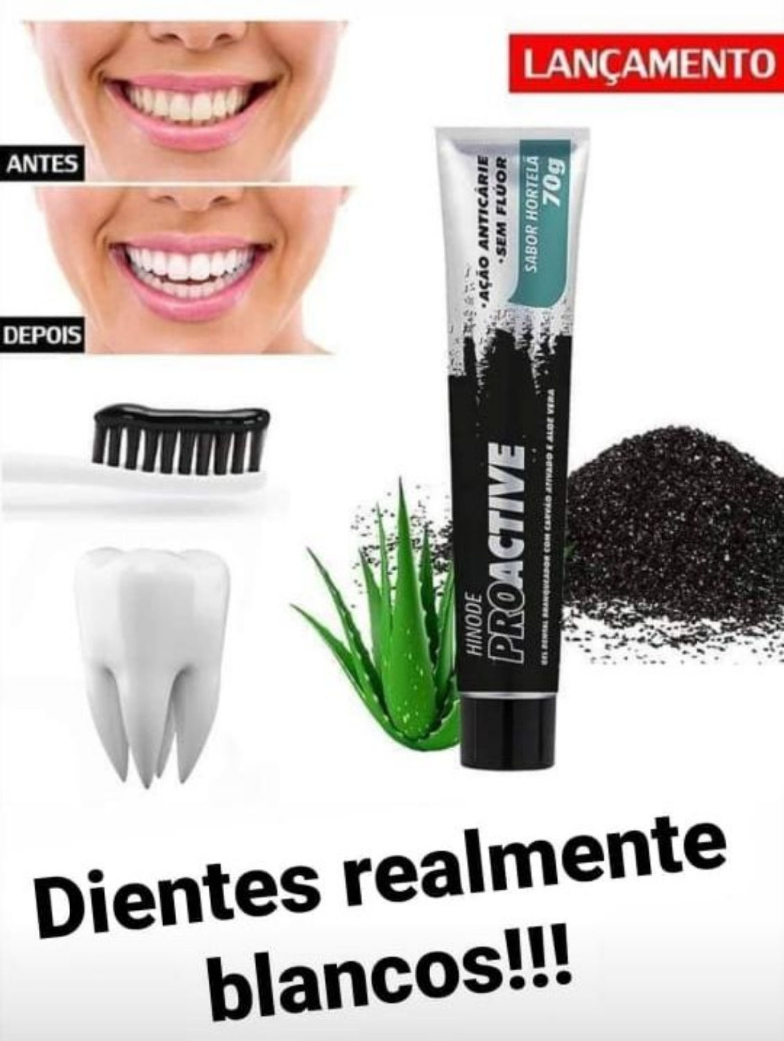 Pro Active