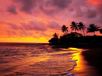Which Hawaiian Island is Right for You?