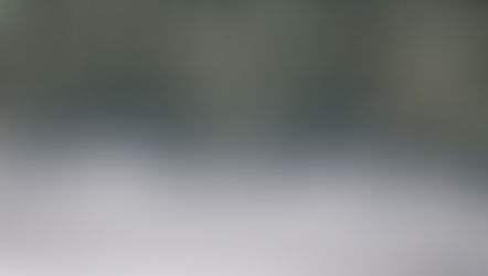 Wer „dient" eigentlich wem?