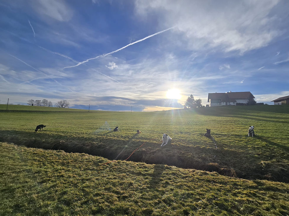 WhatsApp Bild 2025-06-05 um 15.29.05_181091d7