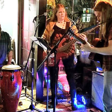 megs birthday selkies.jpg