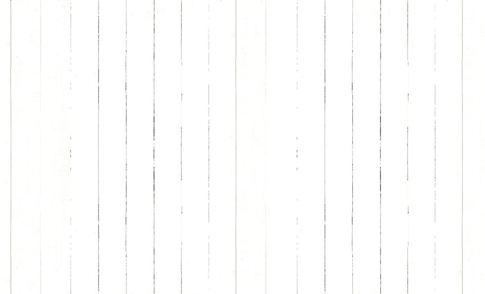 White%20Washed%20Wood_edited.jpg