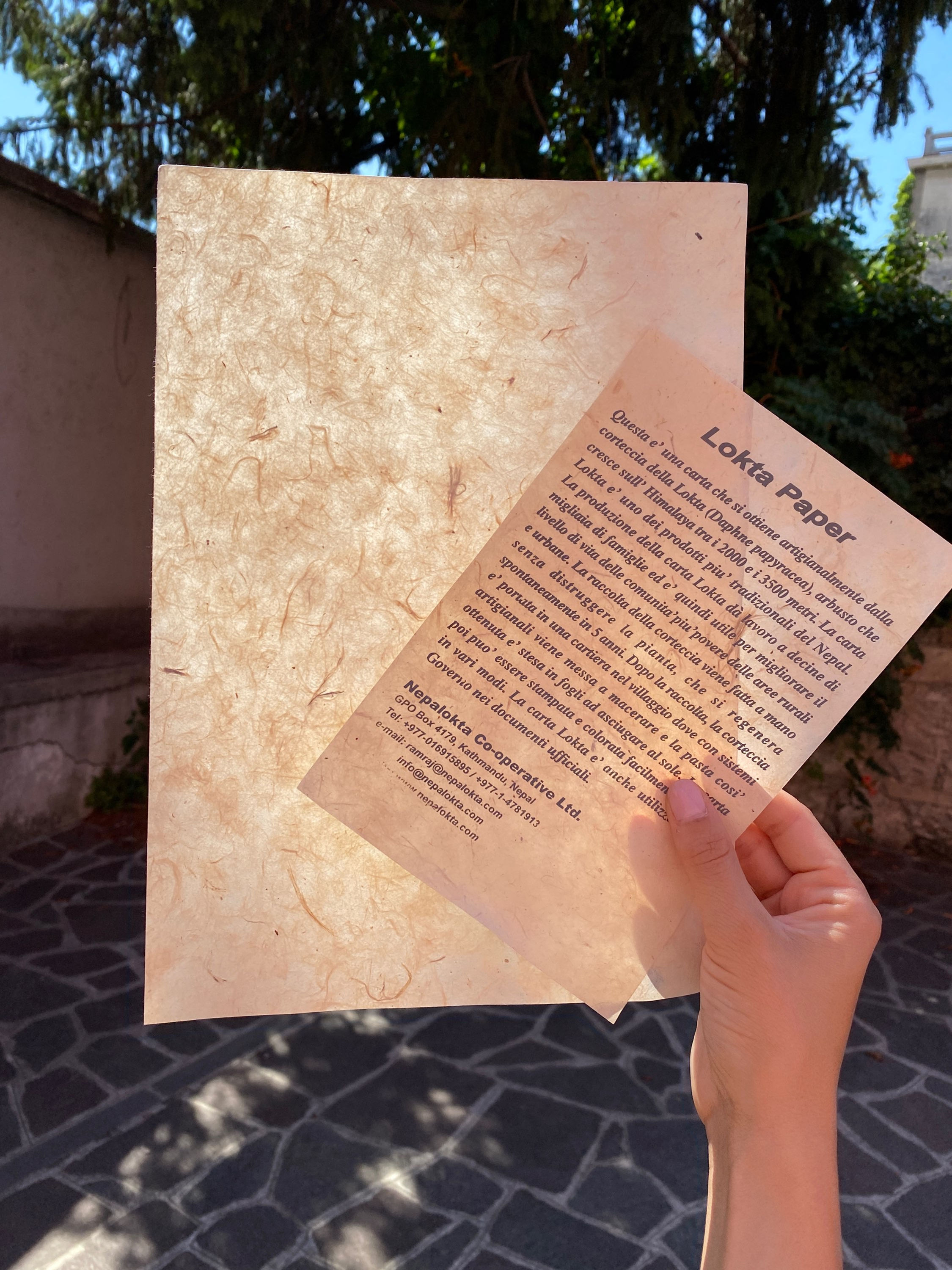 Carta Nepalese Lokta Paper / Confezione 10 Fogli A4