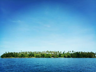 Blue Carbon