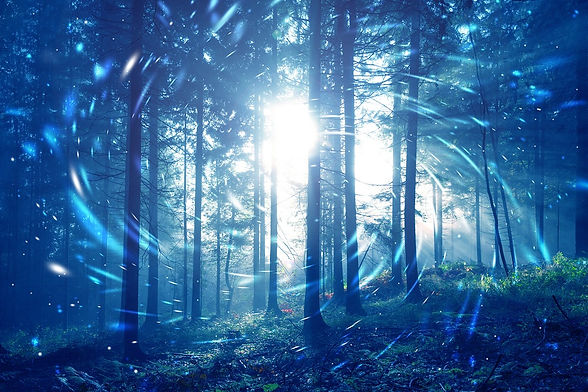 mystic.forest.blue.jpeg