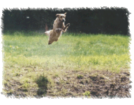 Jump1(1)