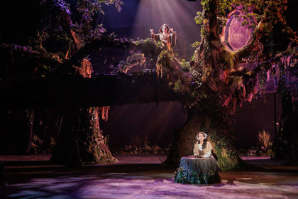 Cinderella at Mothers Tree