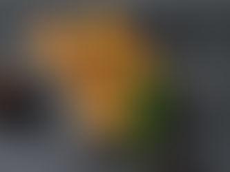 Hamburguesas de lentejas rojas  al curry