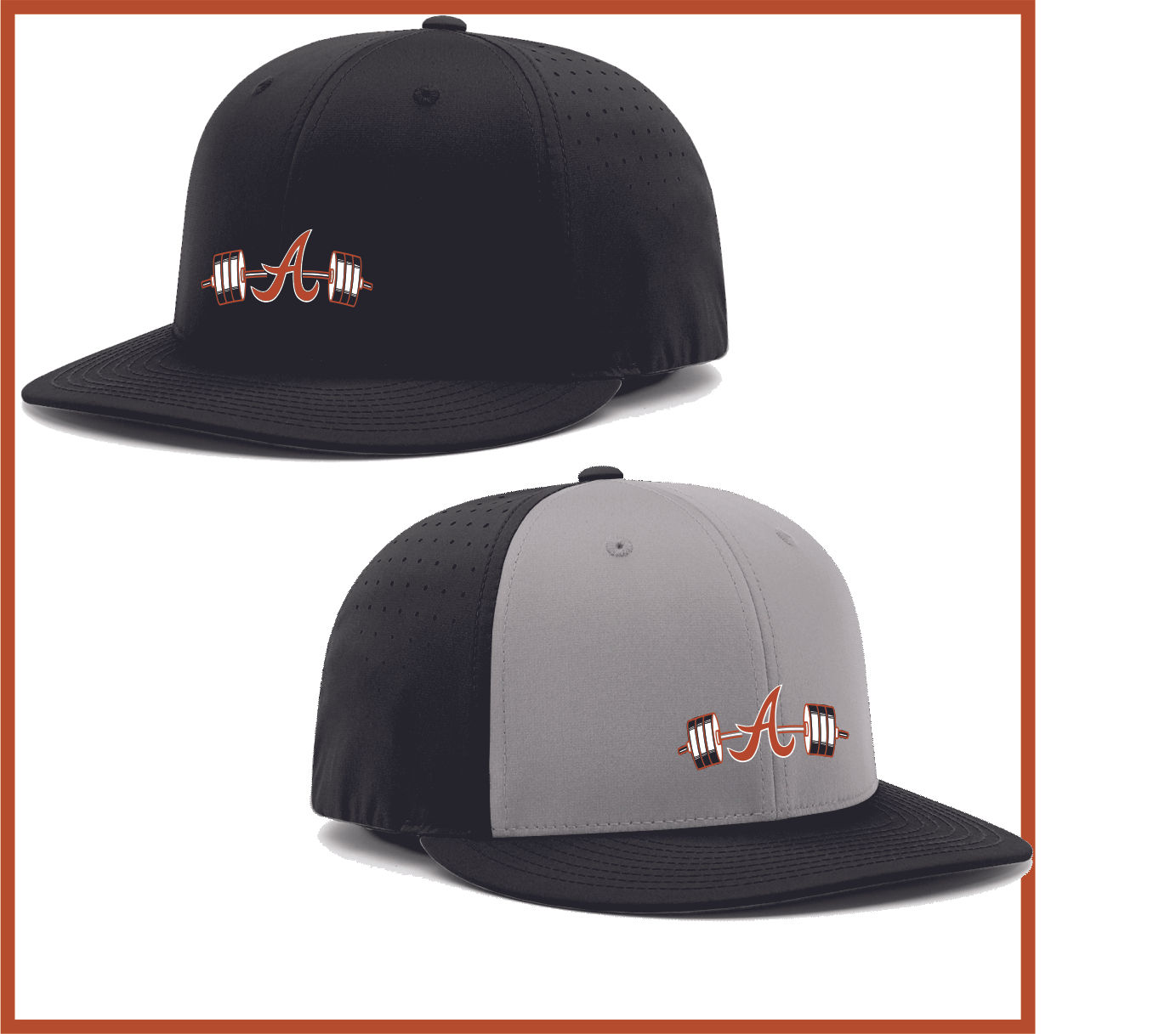 AHSPower - PTS30 Logo