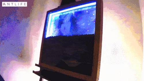 ezgif.com-effects.gif