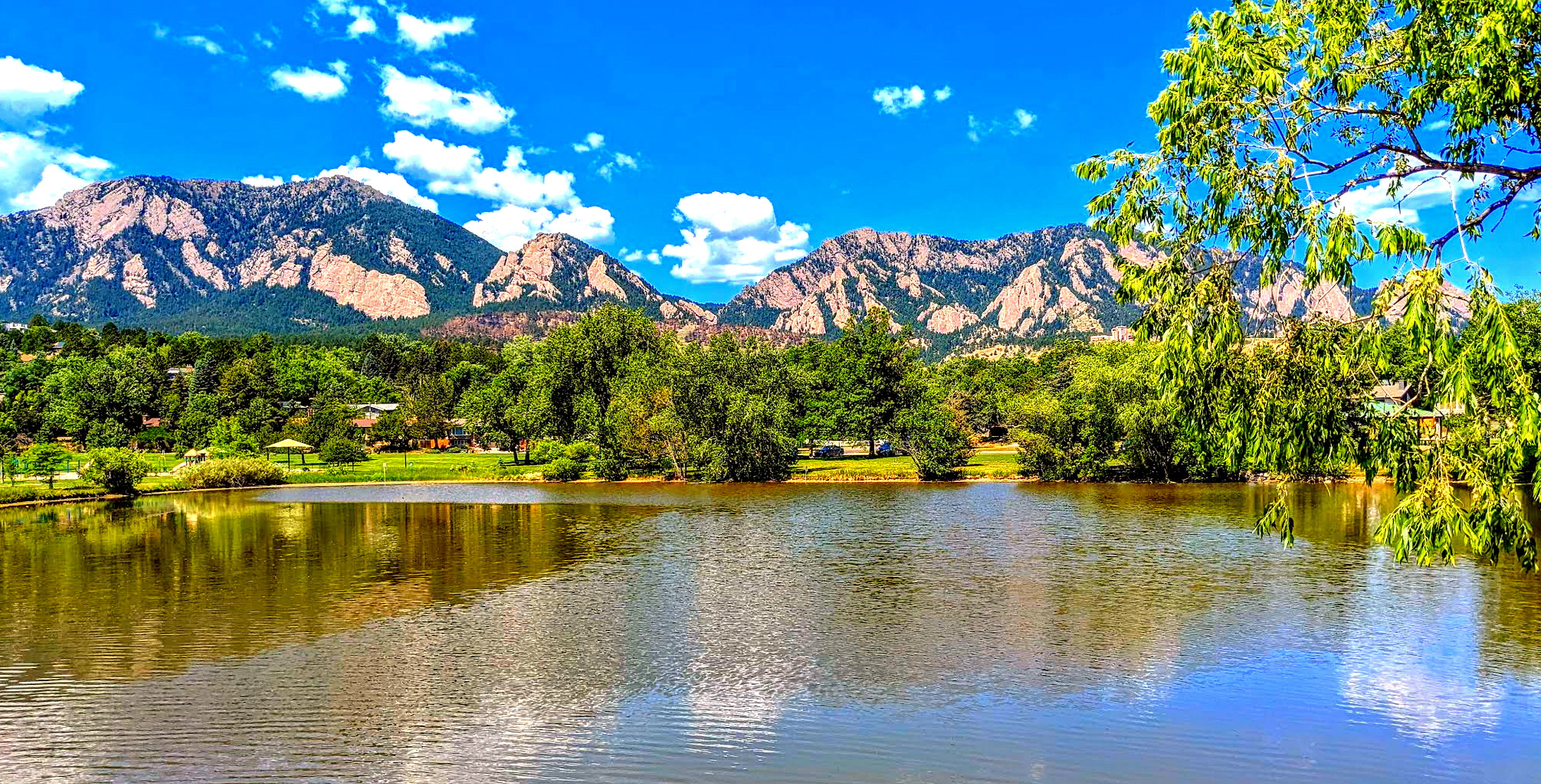 Screenshot 2025-08-08 004940_edited.jpg